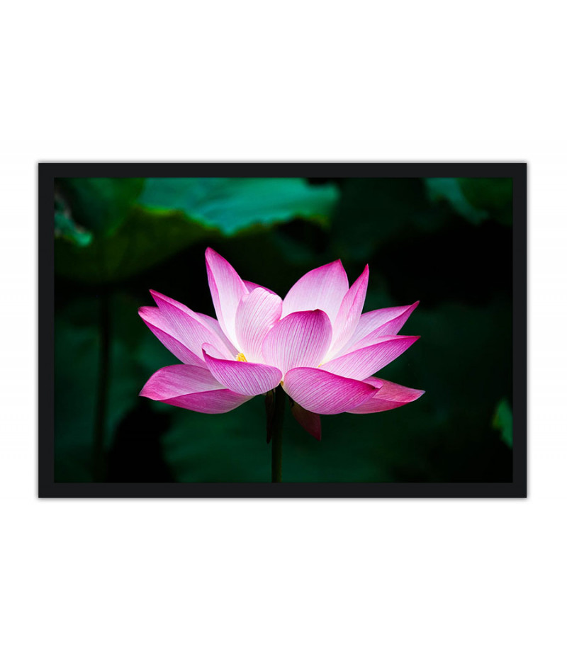 Poster - Flores