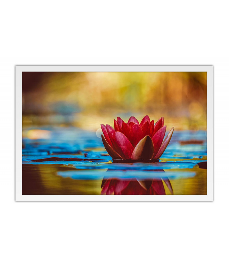 Poster - Flores