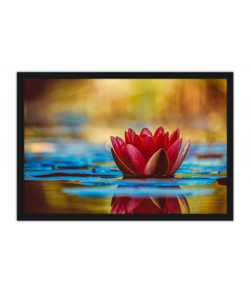 Poster - Flores