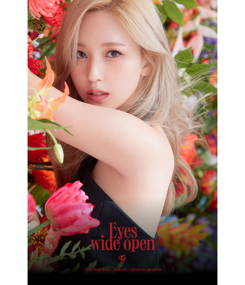 Poster Twice – K-Pop