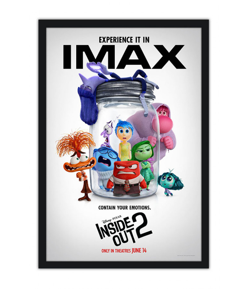 Poster Divertidamente 2 - Inside Out 2 - Animação - Infantil - Filmes