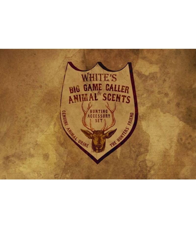 Poster Red Dead Redemption