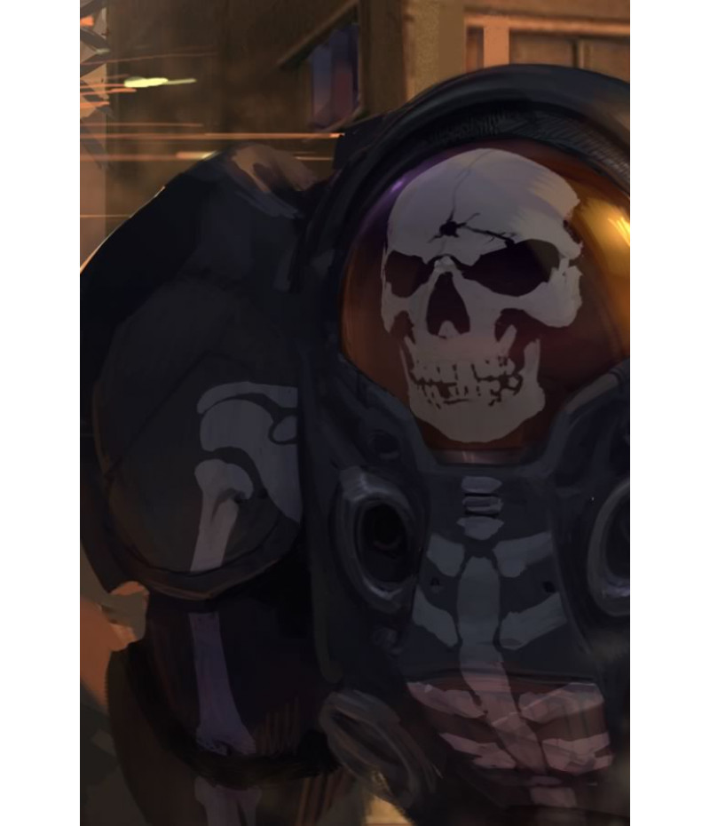 Poster Game Starcraft II