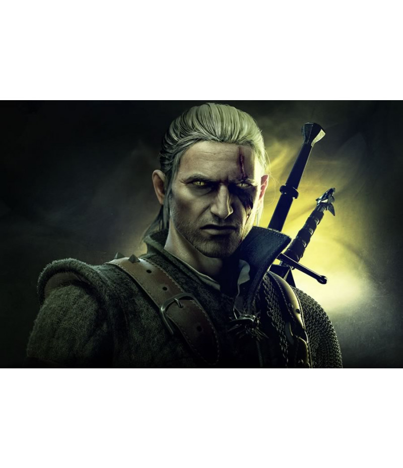 Poster Game The Witcher