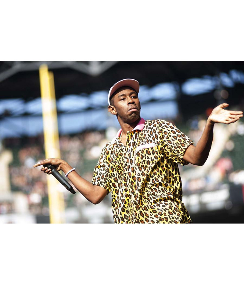 Poster Tyler The Creator - Rap - Hip Hop