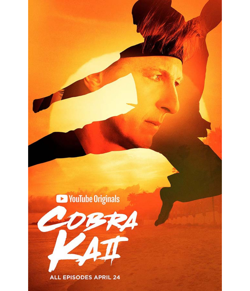 Poster Cobra Kai - Karate Kid - Séries