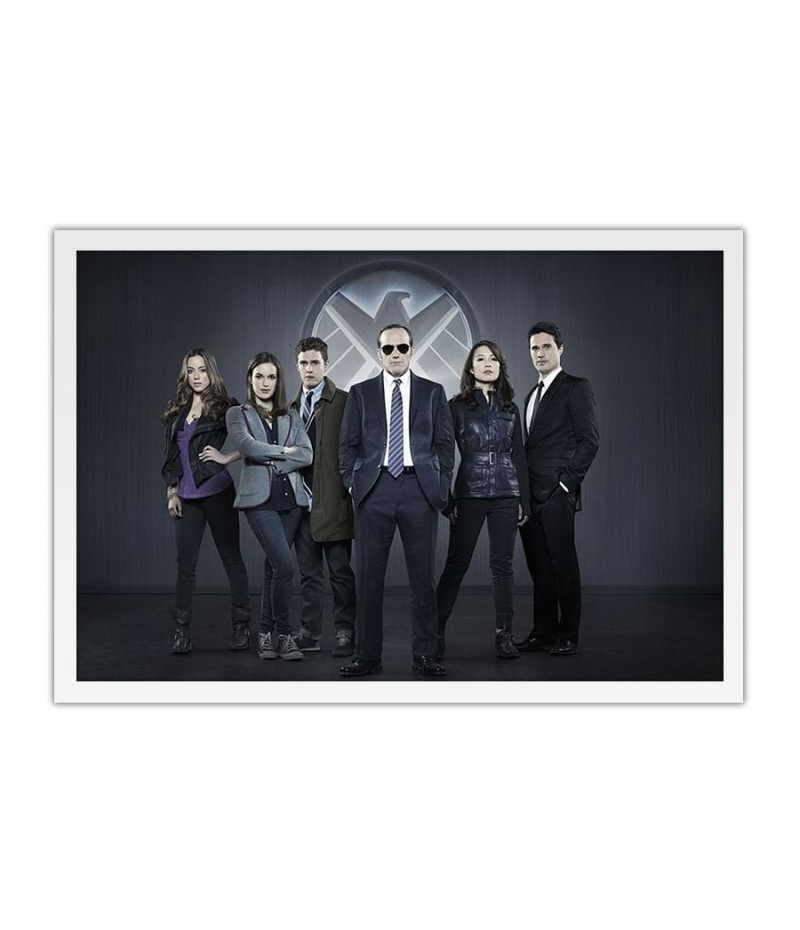 Poster Agentes Agents Of Shield