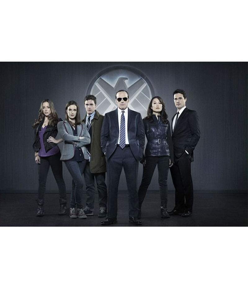 Poster Agentes Agents Of Shield