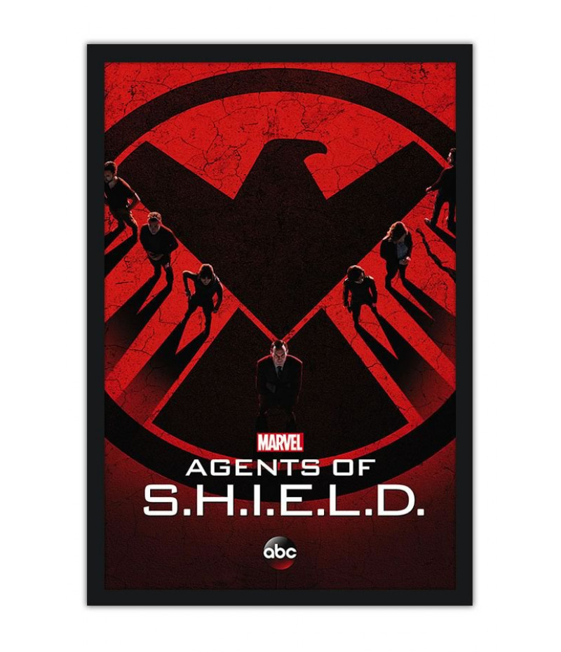 Poster Agentes Of Shield