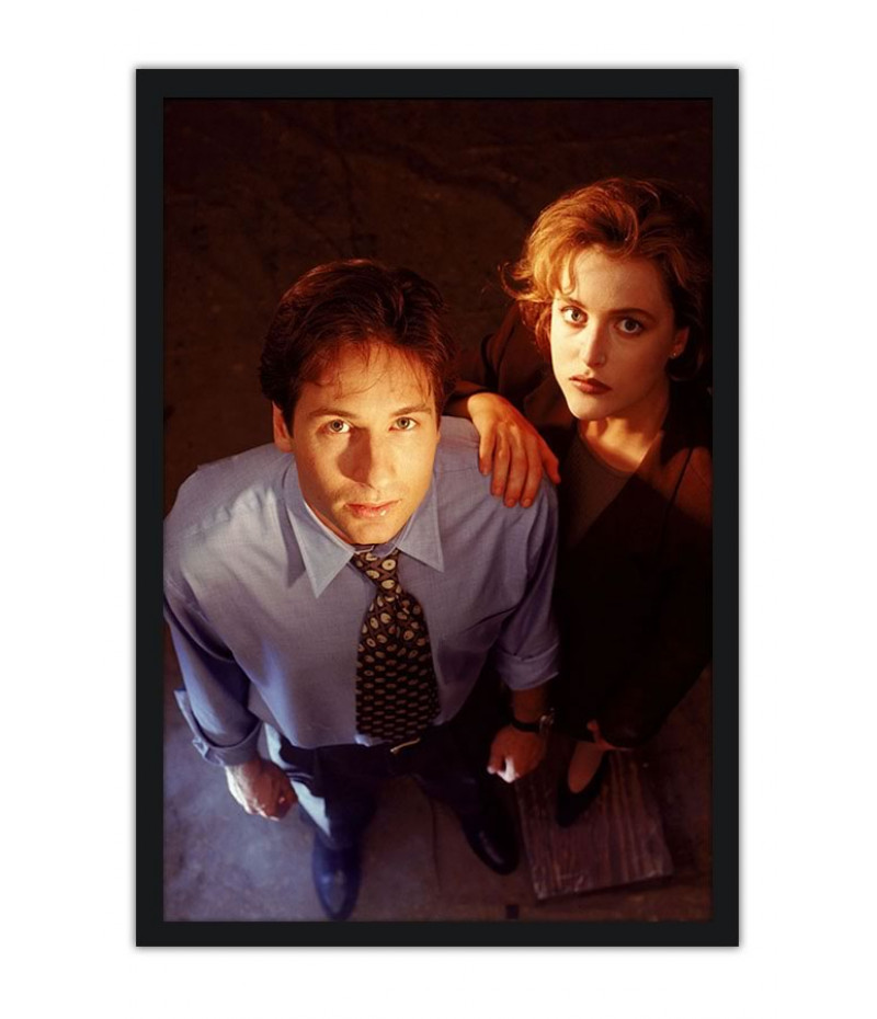Poster Arquivo X Files